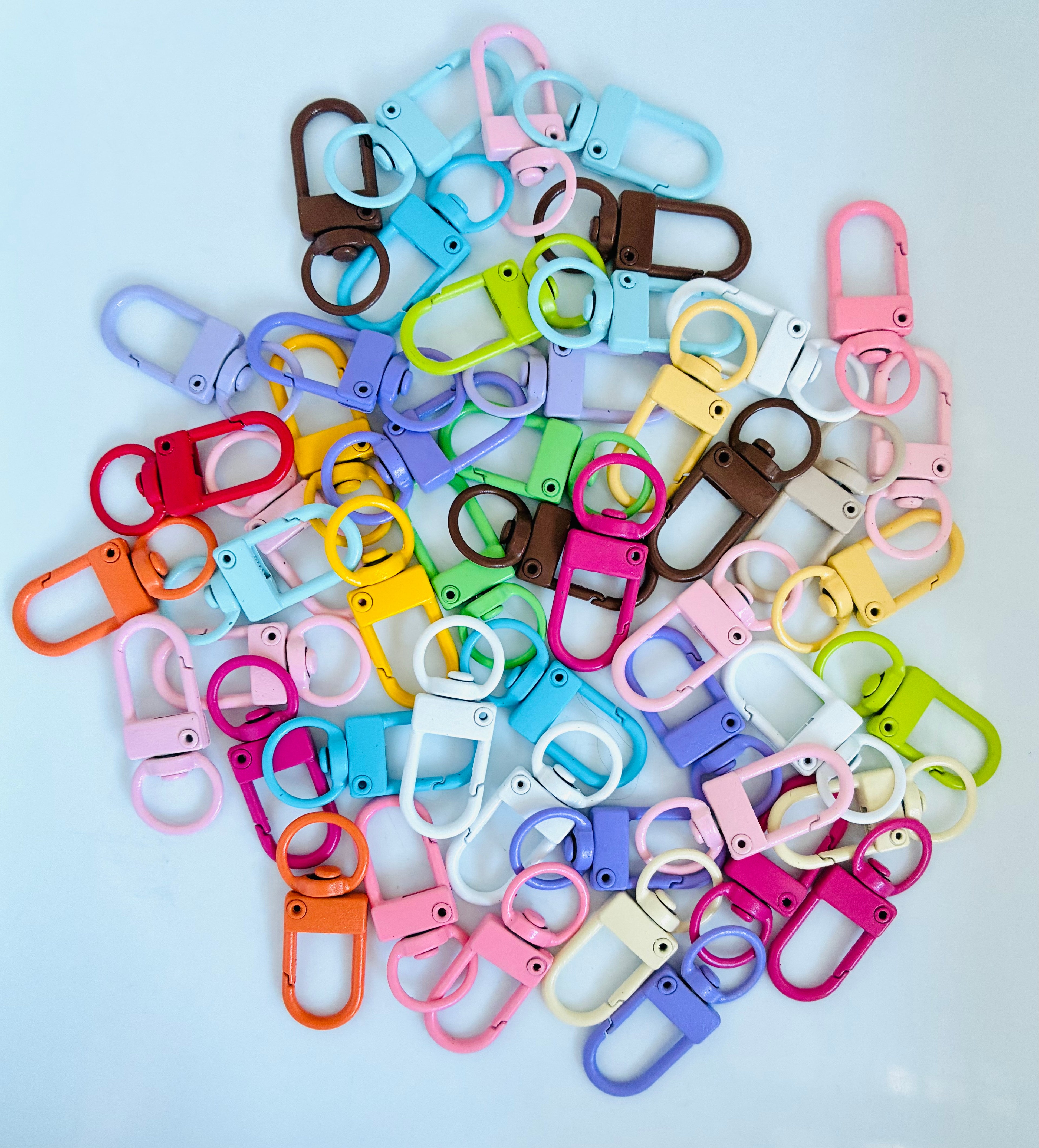 Swivel Clasp